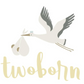 Pacifier Set: Double Trouble (Pink)