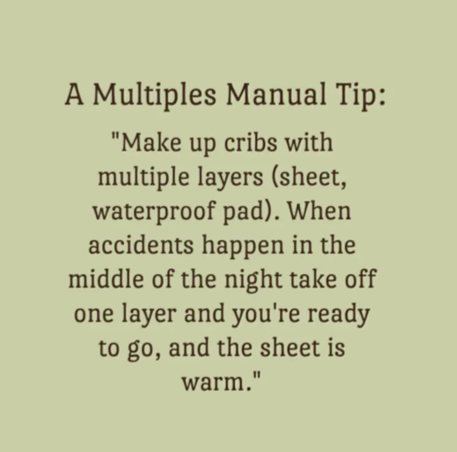 Twins Book - The Multiples Manual