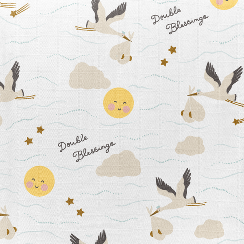 Swaddle Blanket Set: Double Blessings